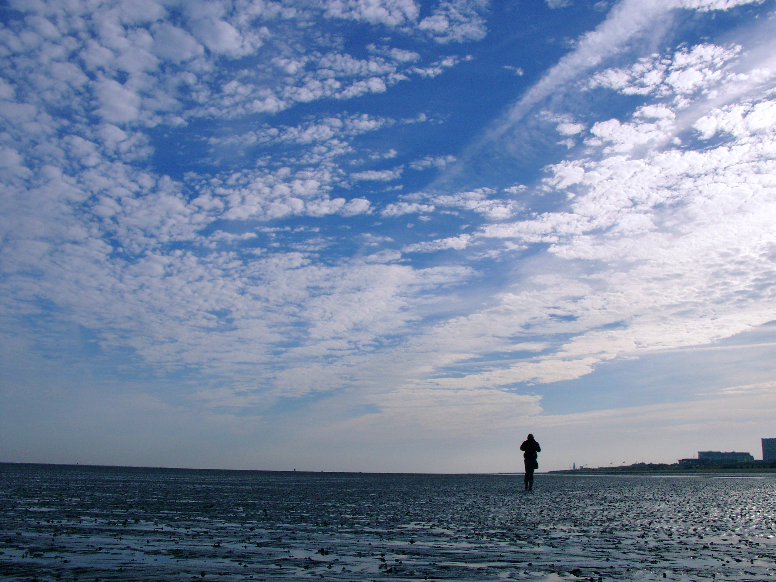 ebbe-nordsee ebbe-nordsee